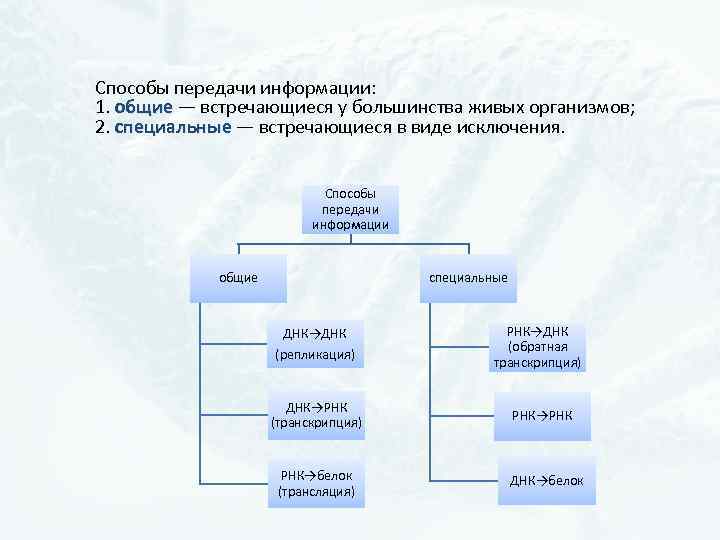 Способы передачи информации: 1. общие — встречающиеся у большинства живых организмов; общие 2. специальные