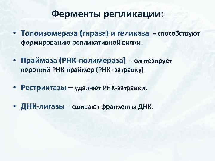 Фермент вилка. Фермент топоизомераза. Формирование репликативной вилки ферменты. Фермент геликаза. Топоизомераза геликаза.