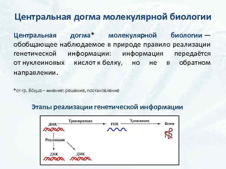 Центральная догма молекулярной биологии это