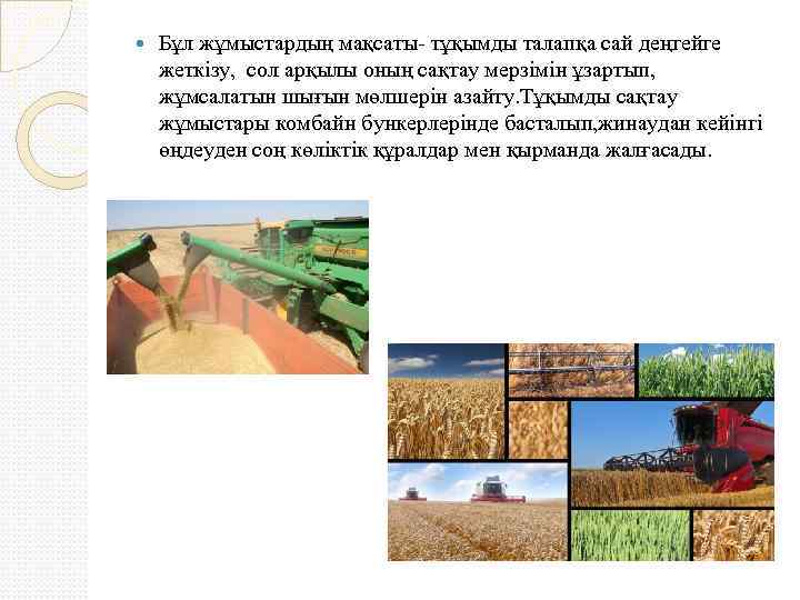  Бұл жұмыстардың мақсаты- тұқымды талапқа сай деңгейге жеткізу, сол арқылы оның сақтау мерзімін