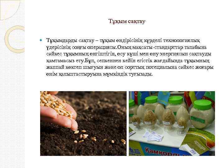 Тұқым сақтау Тұқымдарды сақтау – тұқым өндірісінің күрделі технологиялық үдерісінің соңғы операциясы. Оның мақсаты-стандарттар