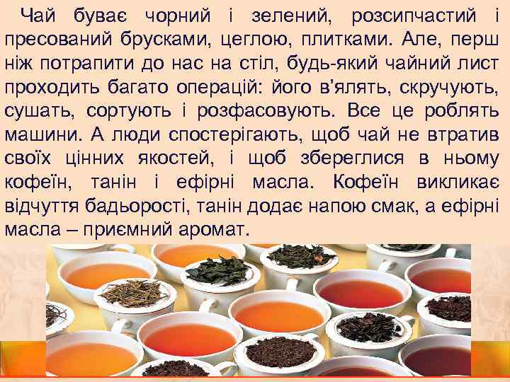 Чай буває чорний і зелений, розсипчастий і пресований брусками, цеглою, плитками. Але, перш ніж