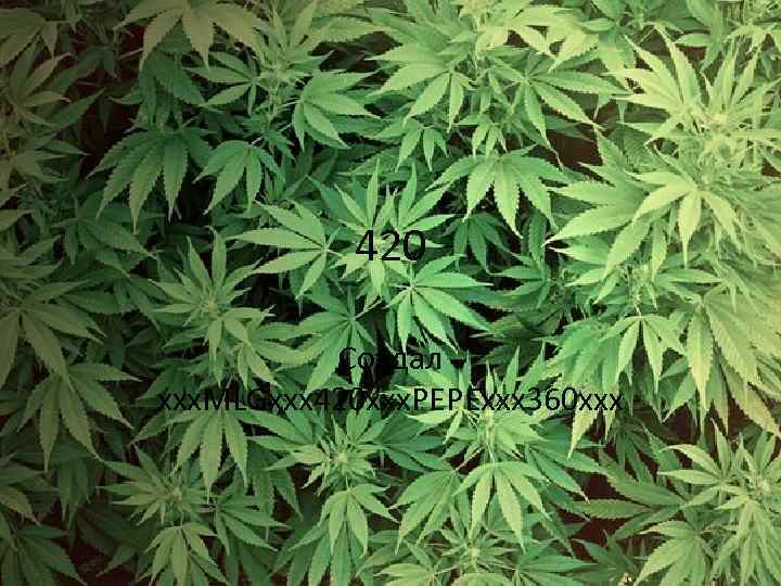 420 Создал xxx. MLGxxx 420 xxx. PEPExxx 360 xxx 