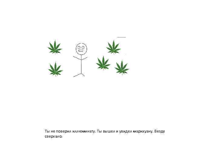 Ты не поверил иллюминату. Ты вышел и увидел марихуану. Везде сверкало. 