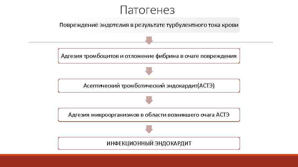 Патогенез Повреждение эндотелия в результате турбулентного тока крови Адгезия тромбоцитов и отложение фибрина в