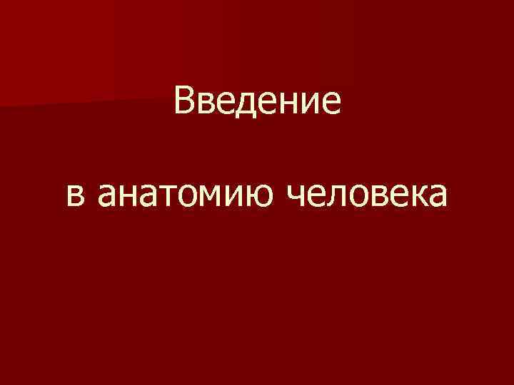 Введение в анатомию человека 