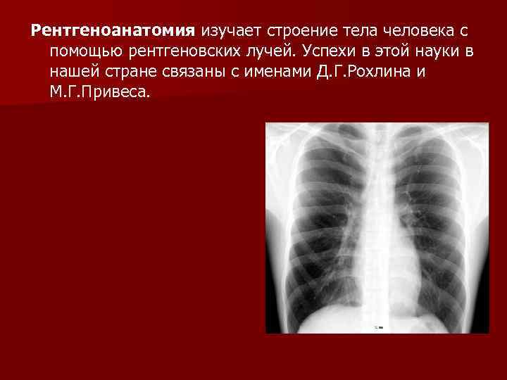 Рентгеноанатомия изучает строение тела человека с помощью рентгеновских лучей. Успехи в этой науки в