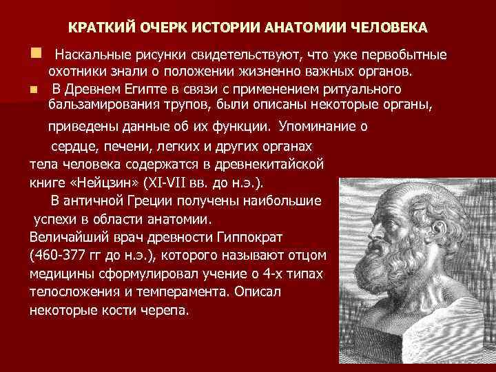 КРАТКИЙ ОЧЕРК ИСТОРИИ АНАТОМИИ ЧЕЛОВЕКА n Наскальные рисунки свидетельствуют, что уже первобытные охотники знали