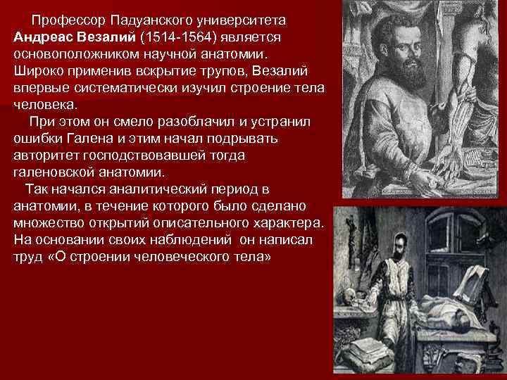  Профессор Падуанского университета Андреас Везалий (1514 -1564) является основоположником научной анатомии. Широко применив