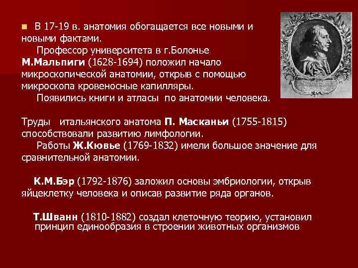  В 17 -19 в. анатомия обогащается все новыми и новыми фактами. Профессор университета