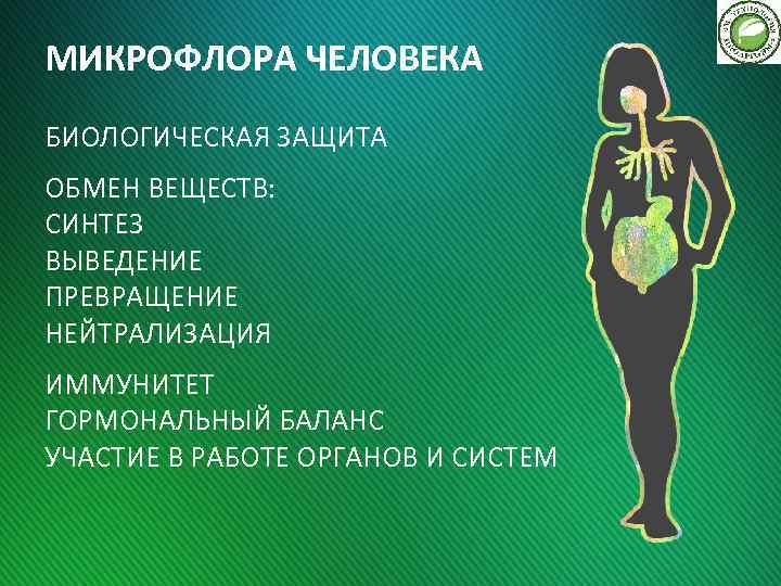 МИКРОФЛОРА ЧЕЛОВЕКА БИОЛОГИЧЕСКАЯ ЗАЩИТА ОБМЕН ВЕЩЕСТВ: СИНТЕЗ ВЫВЕДЕНИЕ ПРЕВРАЩЕНИЕ НЕЙТРАЛИЗАЦИЯ ИММУНИТЕТ ГОРМОНАЛЬНЫЙ БАЛАНС УЧАСТИЕ