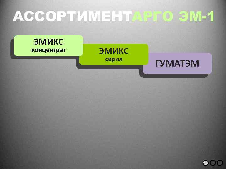 АССОРТИМЕНТАРГО ЭМ-1 ЭМИКС концентрат ЭМИКС серия ГУМАТЭМ 