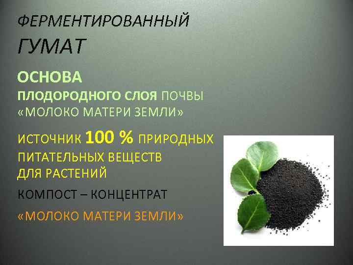ФЕРМЕНТИРОВАННЫЙ ГУМАТ ОСНОВА ПЛОДОРОДНОГО СЛОЯ ПОЧВЫ «МОЛОКО МАТЕРИ ЗЕМЛИ» ИСТОЧНИК 100 % ПРИРОДНЫХ ПИТАТЕЛЬНЫХ