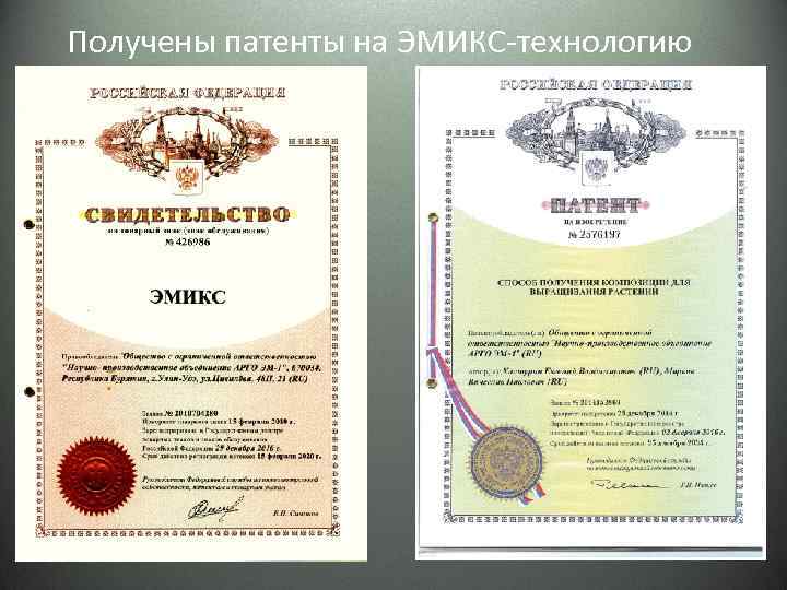 Получены патенты на ЭМИКС-технологию 
