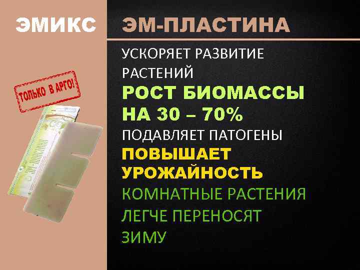 ЭМИКС ЭМ-ПЛАСТИНА УСКОРЯЕТ РАЗВИТИЕ РАСТЕНИЙ РОСТ БИОМАССЫ НА 30 – 70% ПОДАВЛЯЕТ ПАТОГЕНЫ ПОВЫШАЕТ