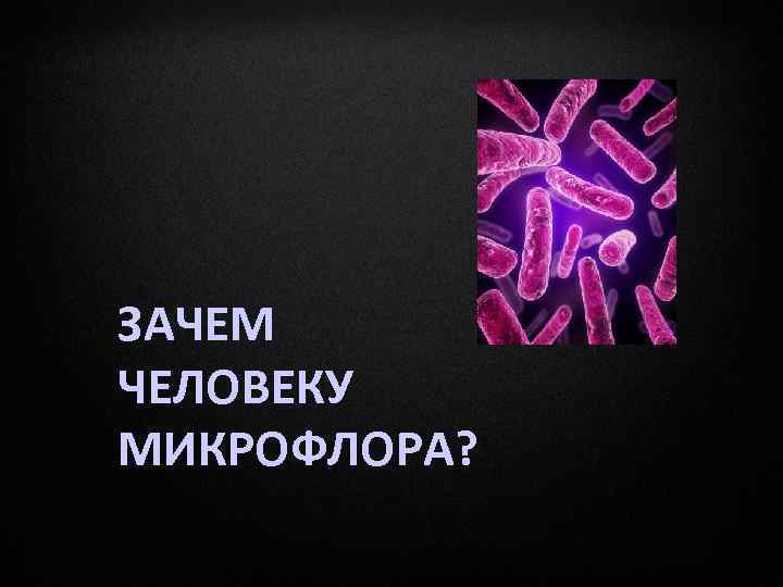 ЗАЧЕМ ЧЕЛОВЕКУ МИКРОФЛОРА? 