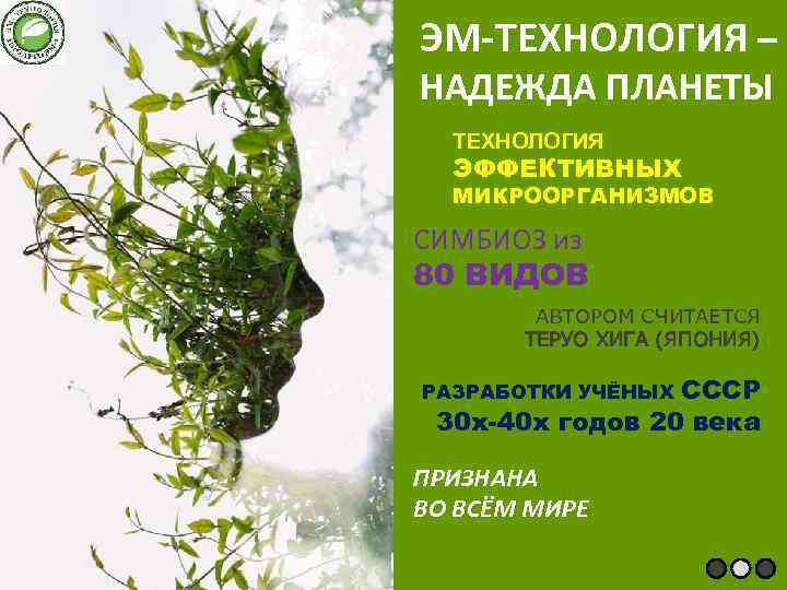 ЭМ-ТЕХНОЛОГИЯ – НАДЕЖДА ПЛАНЕТЫ ТЕХНОЛОГИЯ ЭФФЕКТИВНЫХ МИКРООРГАНИЗМОВ СИМБИОЗ из 80 ВИДОВ АВТОРОМ СЧИТАЕТСЯ ТЕРУО
