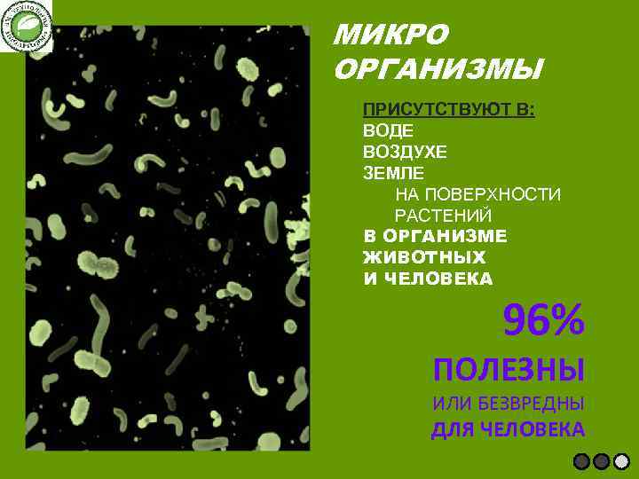 МИКРО ОРГАНИЗМЫ ПРИСУТСТВУЮТ В: ВОДЕ ВОЗДУХЕ ЗЕМЛЕ НА ПОВЕРХНОСТИ РАСТЕНИЙ В ОРГАНИЗМЕ ЖИВОТНЫХ И