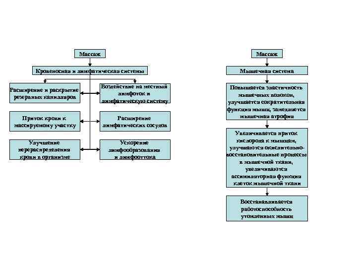Массаж Кровеносная и лимфатическая системы Мышечная система Расширение и раскрытие резервных капилляров Воздействие на