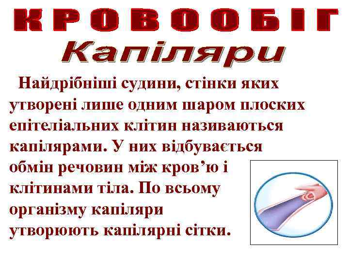 Найдрібніші судини, стінки яких утворені лише одним шаром плоских епітеліальних клітин називаються капілярами. У