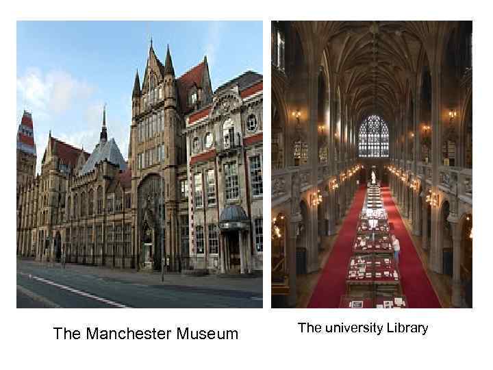 The Manchester Museum The university Library 