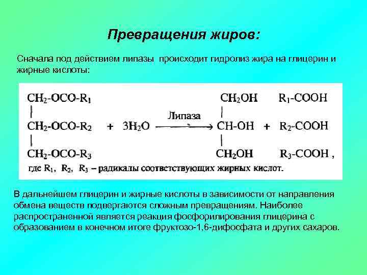 Составьте схему получения тринитроглицерина из жира над стрелками переходов