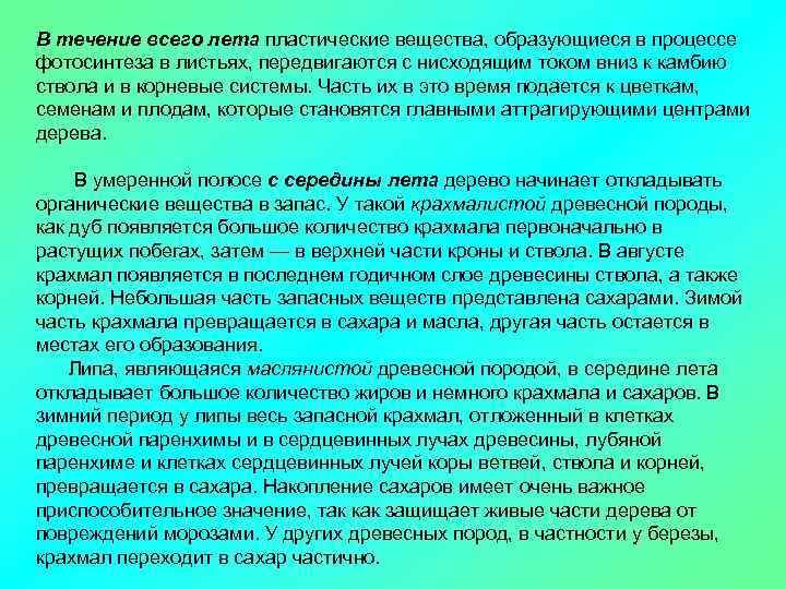 В течение всего лета пластические вещества, образующиеся в процессе фотосинтеза в листьях, передвигаются с