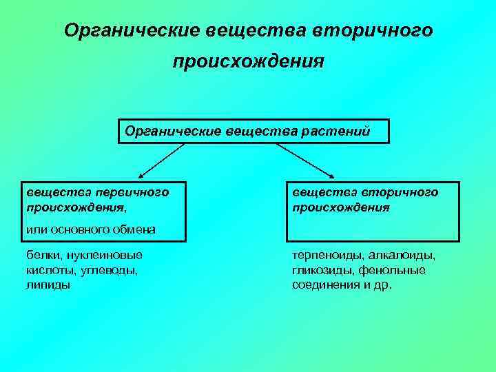 Рассмотрите рисунок показывающий обмен веществ в растении укажите какими цифрами на рисунке ответы