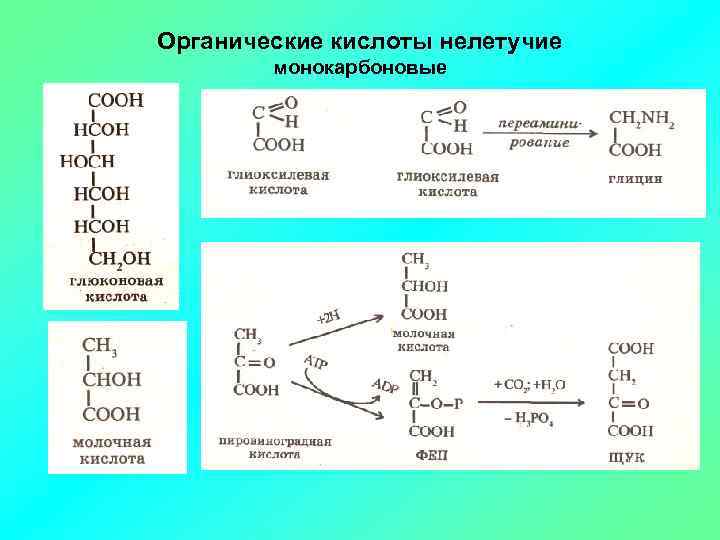 10 органических кислот