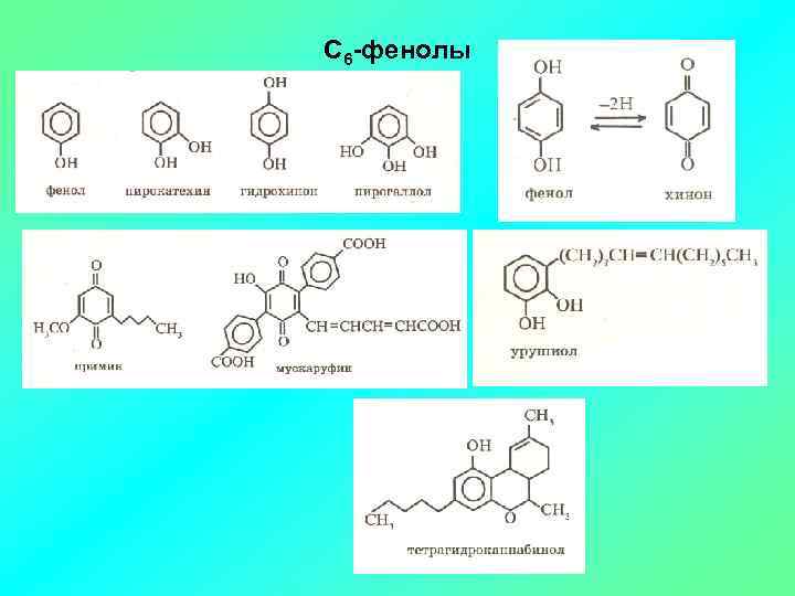 С 6 -фенолы 