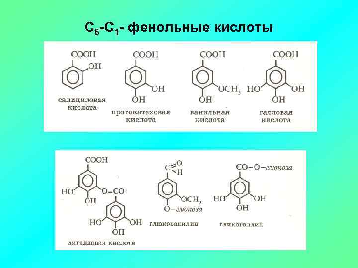С 6 -С 1 - фенольные кислоты 