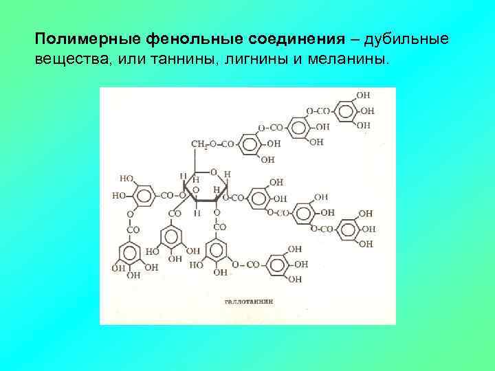 Фенольные соединения фото