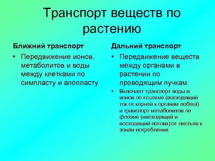 Обмен веществ у растений