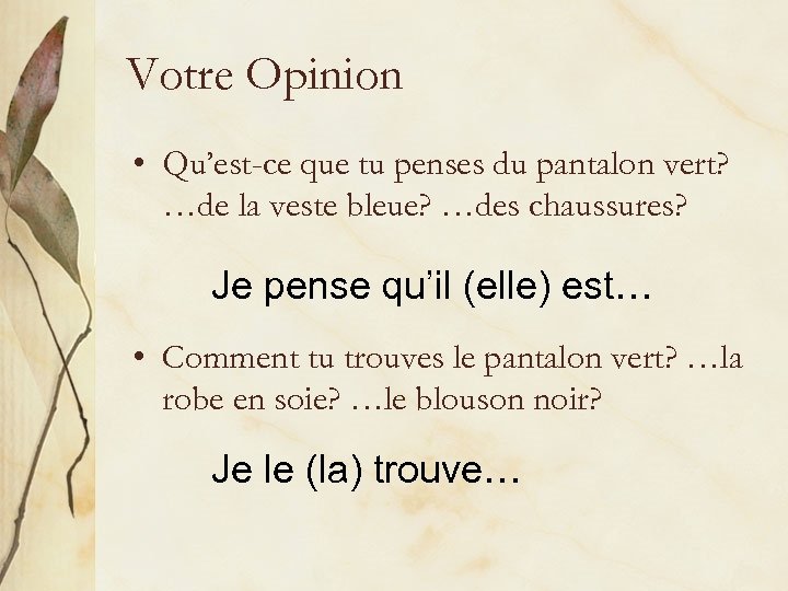 Votre Opinion • Qu’est-ce que tu penses du pantalon vert? …de la veste bleue?