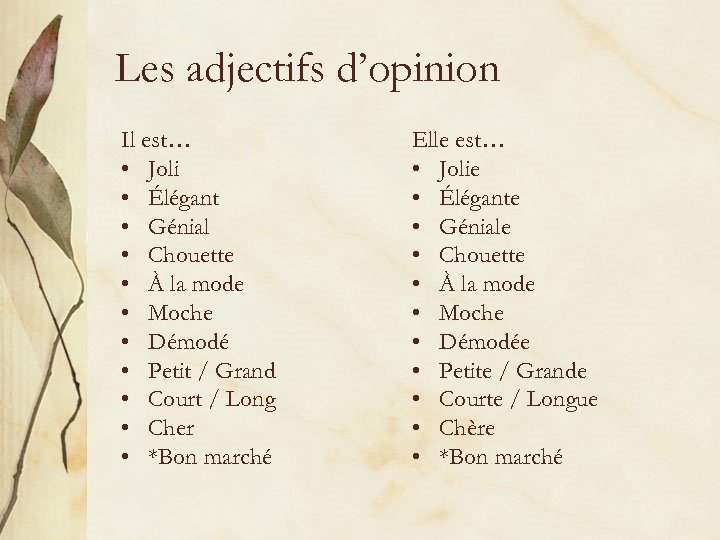 Les adjectifs d’opinion Il est… • Joli • Élégant • Génial • Chouette •