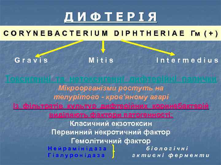 ДИФТЕРІЯ C O R Y N E B A C T E R I