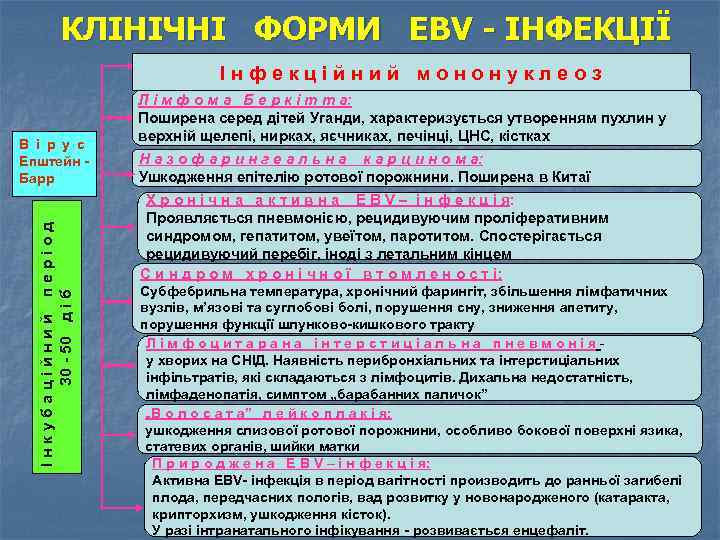 КЛІНІЧНІ ФОРМИ EBV - ІНФЕКЦІЇ І н ф е к ц і й н