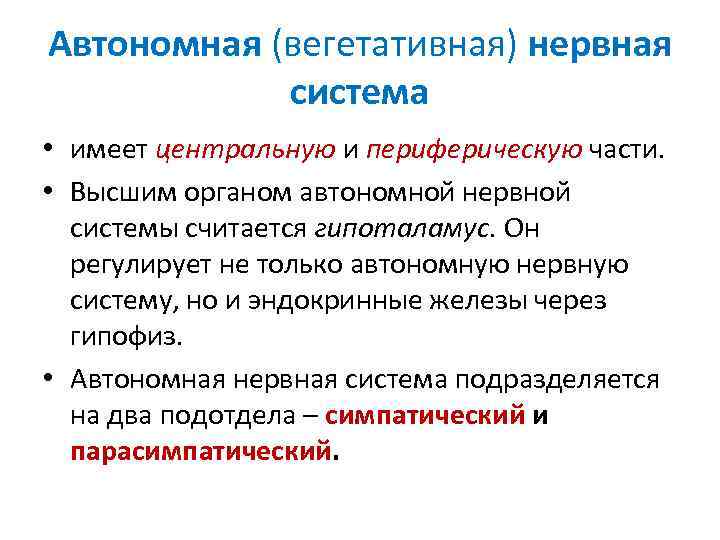 Автономная (вегетативная) нервная система • имеет центральную и периферическую части. • Высшим органом автономной