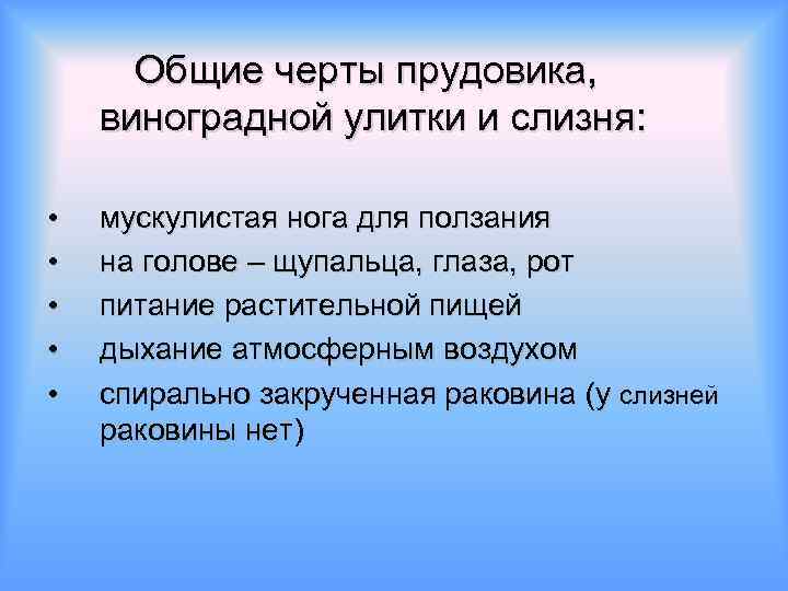 Общие черты прудовика, виноградной улитки и слизня: • • • мускулистая нога для ползания