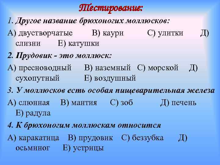 Тестирование: 1. Другое название брюхоногих моллюсков: А) двустворчатые В) каури С) улитки Д) слизни