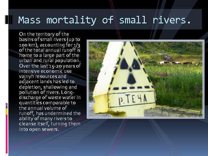 Mass mortality of small rivers. On the territory of the basins of small rivers