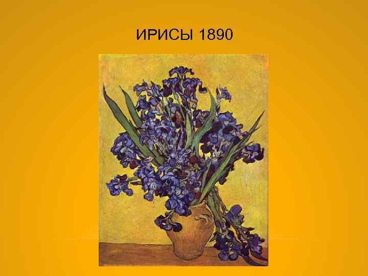 ИРИСЫ 1890 