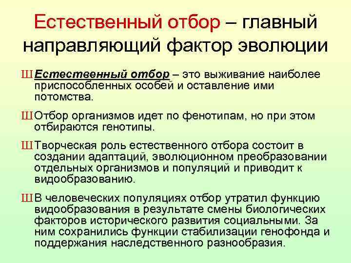 Естественный отбор – главный Естественный отбор направляющий фактор эволюции Ш Естественный отбор – это