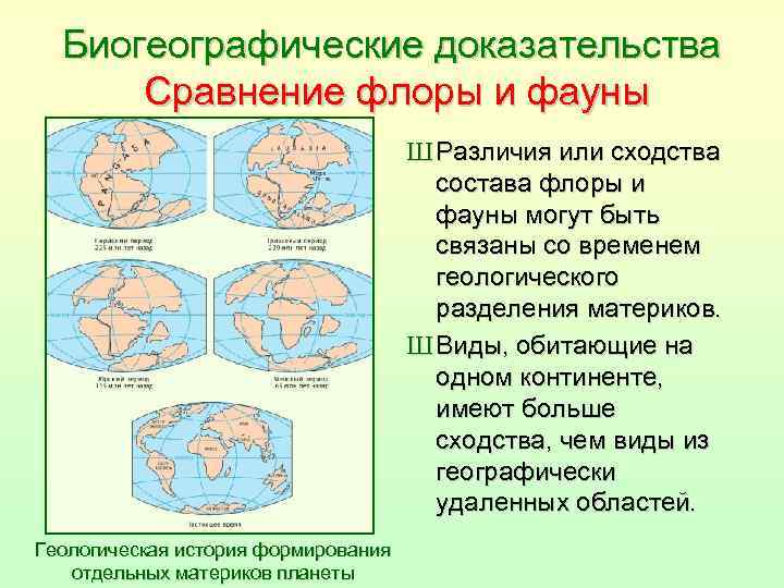 Биогеографические доказательства Сравнение флоры и фауны Ш Различия или сходства состава флоры и фауны