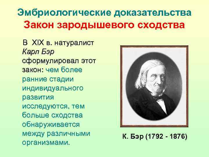 Эмбриологические доказательства Закон зародышевого сходства В XIX в. натуралист Карл Бэр сформулировал этот закон: