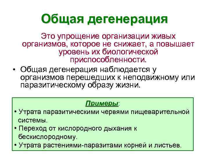 Общая дегенерация Это упрощение организации живых организмов, которое не снижает, а повышает уровень их