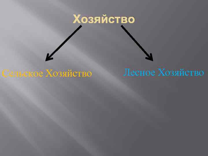 Хозяйство Сельское Хозяйство Лесное Хозяйство 