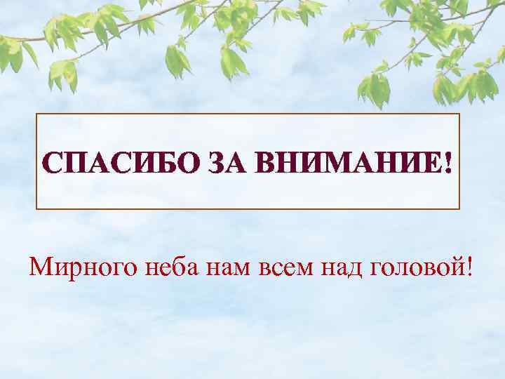 СПАСИБО ЗА ВНИМАНИЕ! Мирного неба нам всем над головой! 