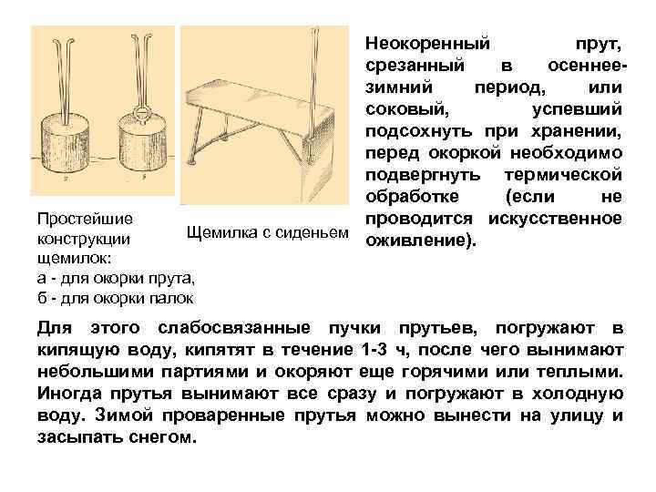 Неокоренный прут, срезанный в осеннее зимний период, или соковый, успевший подсохнуть при хранении, перед