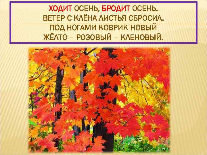 ХОДИТ ОСЕНЬ, БРОДИТ ОСЕНЬ. ВЕТЕР С КЛЁНА ЛИСТЬЯ СБРОСИЛ. ПОД НОГАМИ КОВРИК НОВЫЙ ЖЁЛТО